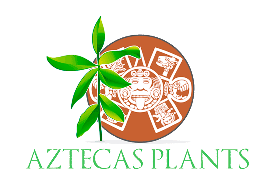 Aztecasplants